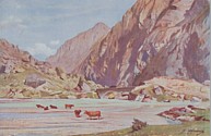 La Meije et les Ecrins, Baud-Bovy