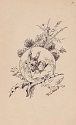La métamorphose, Emile Guigues